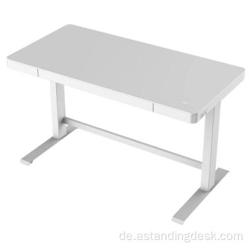 Moderne Luxusmöbel Dual Motor Executive Electric Desk